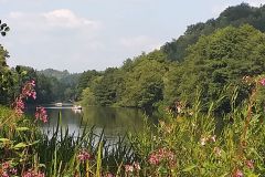 IMG-20190824-WA0020
