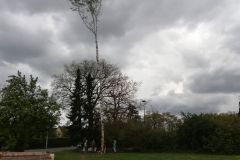 IMG-20190428-WA0003
