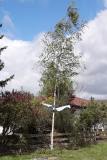 IMG-20200501-WA0001
