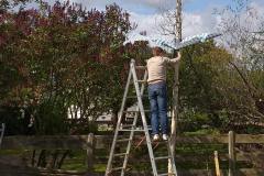 IMG-20200501-WA0005