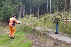 Maibaumfest-2022-01