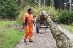 Maibaumfest-2022-02
