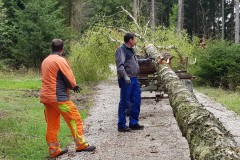 Maibaumfest-2022-03