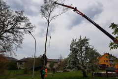 Maibaumfest-2022-10