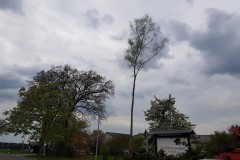 Maibaumfest-2022-11
