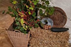 Weinfest-2023-10