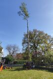 IMG-20240430-WA0000