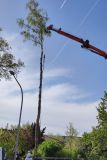 IMG-20240430-WA0008