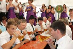 Schuetzenfest-Hohenschambach-2013-11
