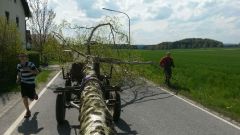 IMG-20160501-WA0002
